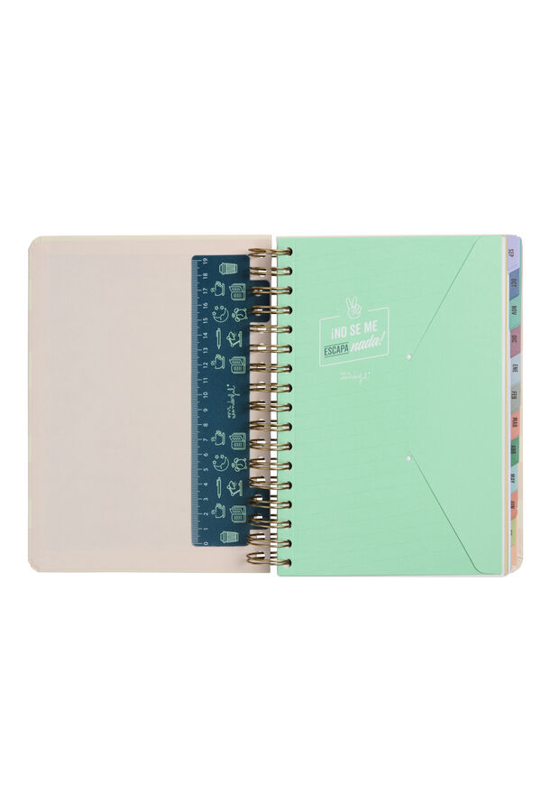 Mr. Wonderful Agenda Wonder 2023-2024 Diaria Rosa  printed