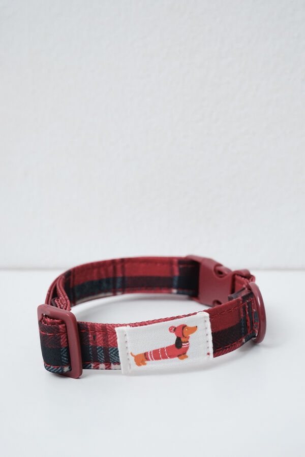 Women'secret Dog collar printed