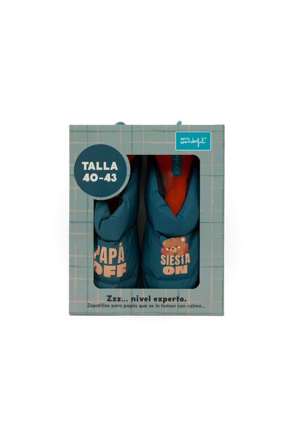 Mr. Wonderful Slippers T 40-46 - Dad OFF / Nap ON printed