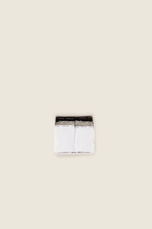 Womensecret 6er-Pack Slips Panties Bio-Baumwolle mit Print