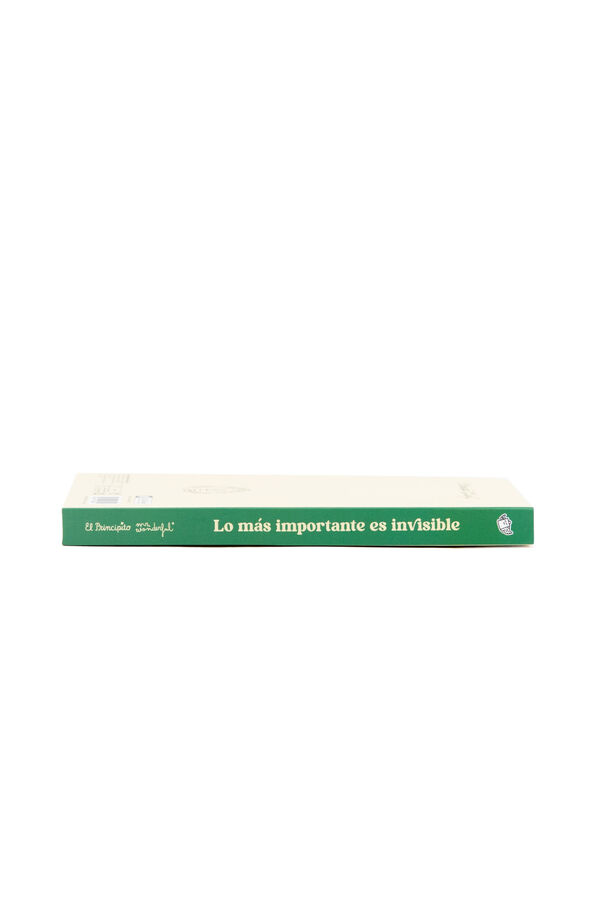 Mr. Wonderful Caderno tipo bloco O Principezinho - O essencial &eacute; invis&iacute;vel estampado