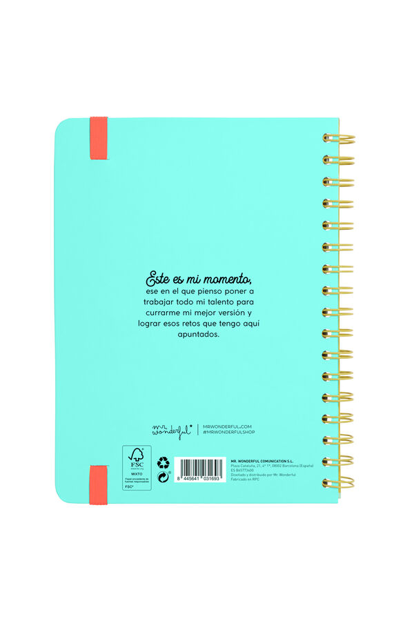 Mr. Wonderful Agenda  2023-2024 Semanal  printed