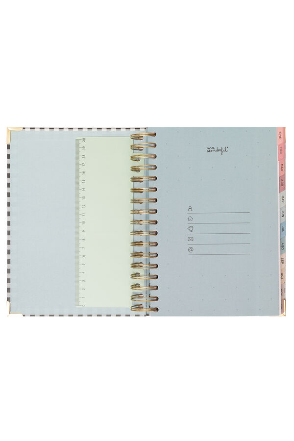 Mr. Wonderful Office 2025 Daily Agenda - Every day matters printed