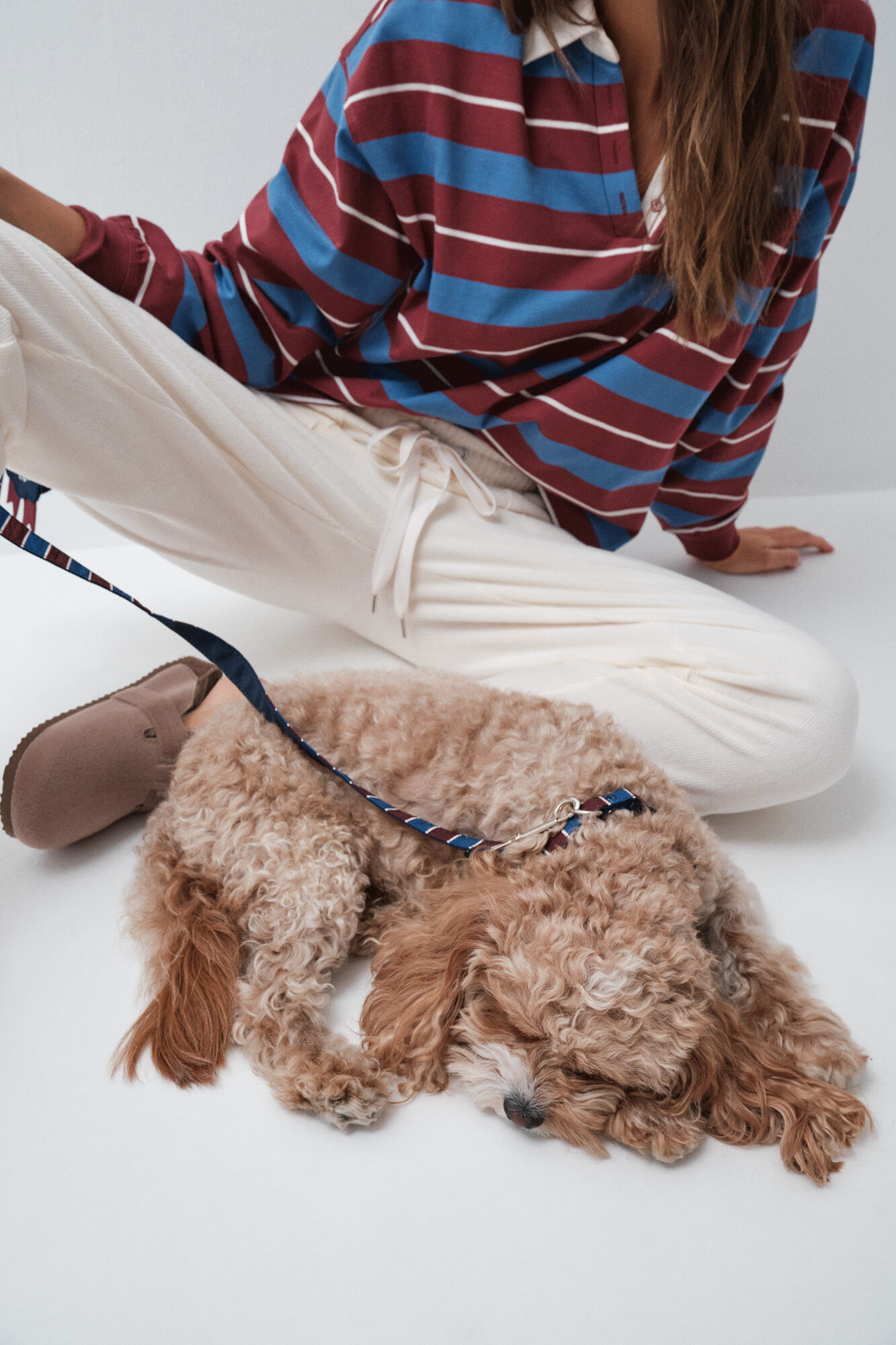 Women'secret Striped dog collar