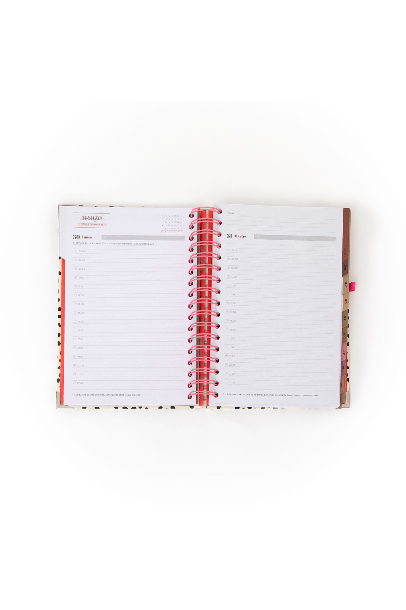 Mr. Wonderful Agenda Office 2026 Diaria - Aqu&iacute; y ahora