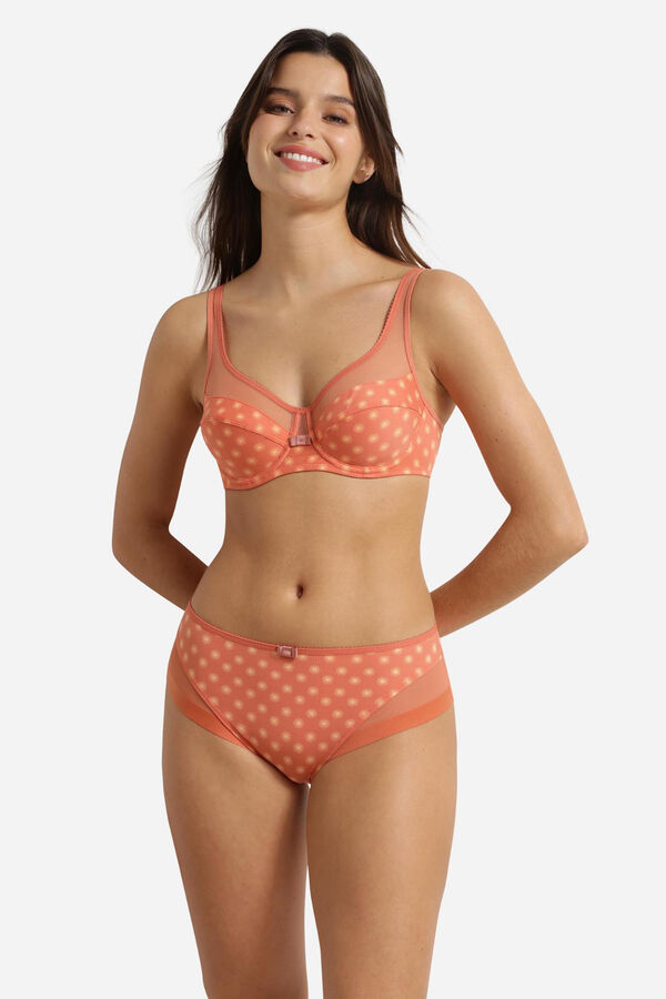 DIM Culotte classique en microfibre et maille bordeaux