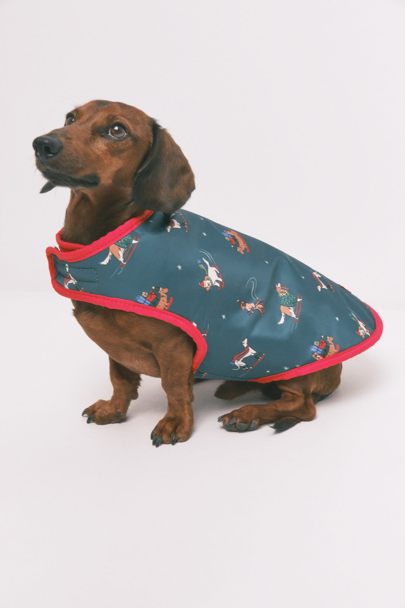 Women'secret Dog raincoat 