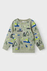 Womensecret Boy's car animal sweatshirt green