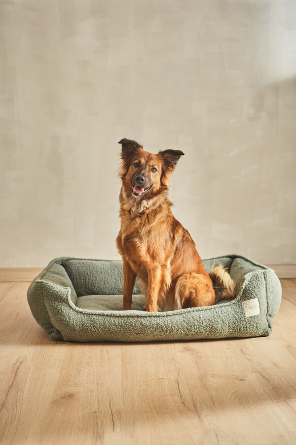 Calma House Henry green pet bed with removable cover vert