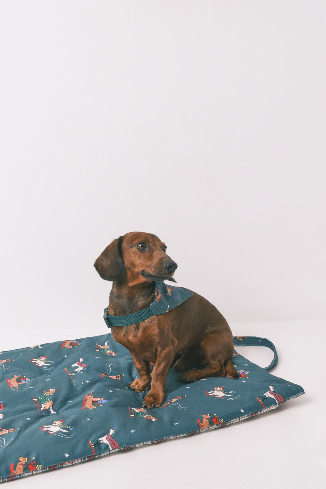 Women'secret Dog cushion mat