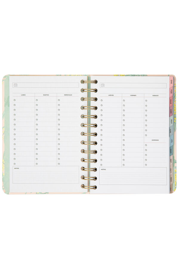 Mr. Wonderful Agenda Office peque&ntilde;a 2025 Semanal Empieza la magia estampado