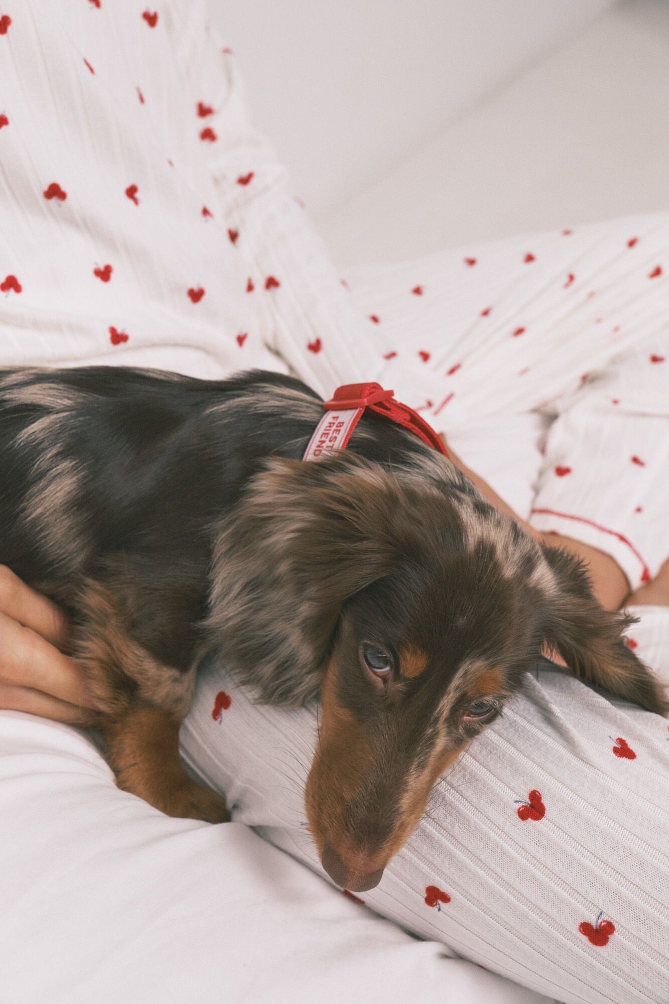 Women'secret Red cherry pendant dog collar