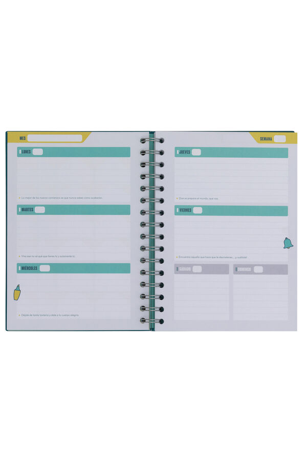 Mr. Wonderful Project planner-Profe 10, which is organised supertly Print