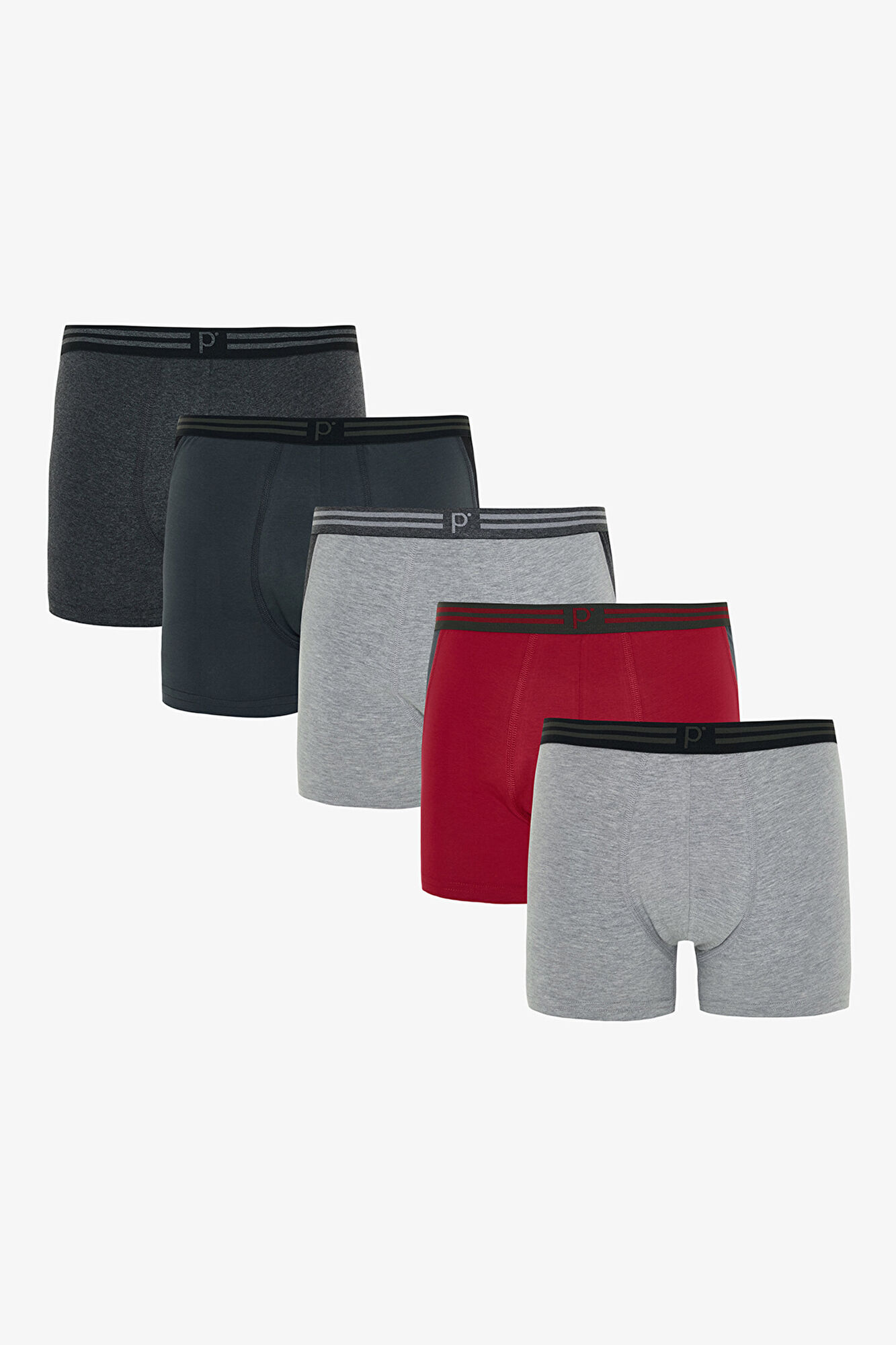 Penti Pack de 5 Boxers org&aacute;nicos para hombre