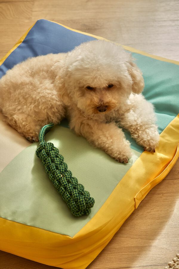 Calma House Turquoise Buby pet cushion 60x40x12 blue