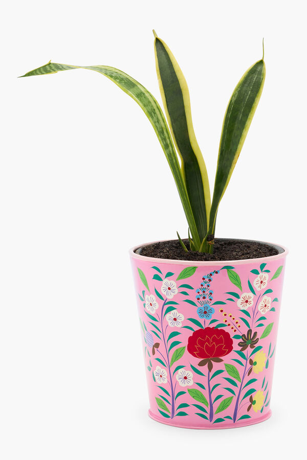 Calma House Pflanzgef&auml;&szlig; Frida 12x12x8 Rosa Rosa