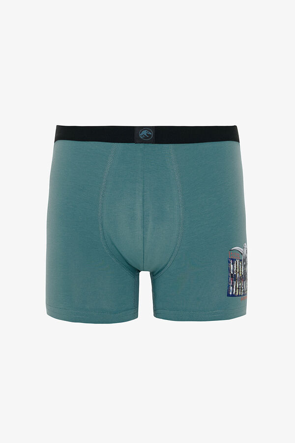 Penti Pack de 2 Boxers con estampado de dinosaurios para hombre estampado