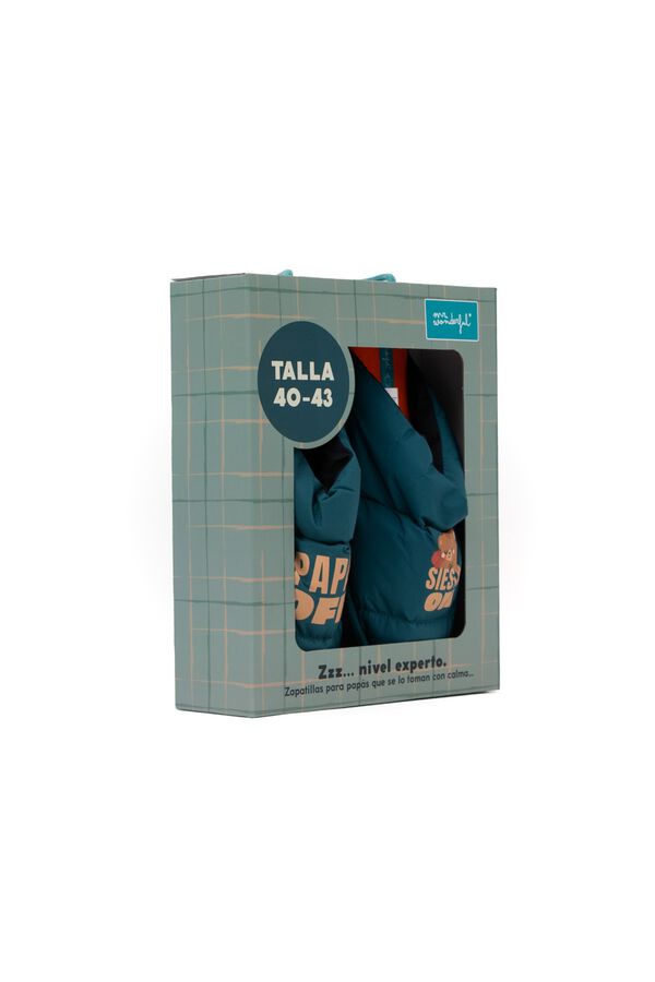 Mr. Wonderful Slippers T 40-46 - Dad OFF / Nap ON printed