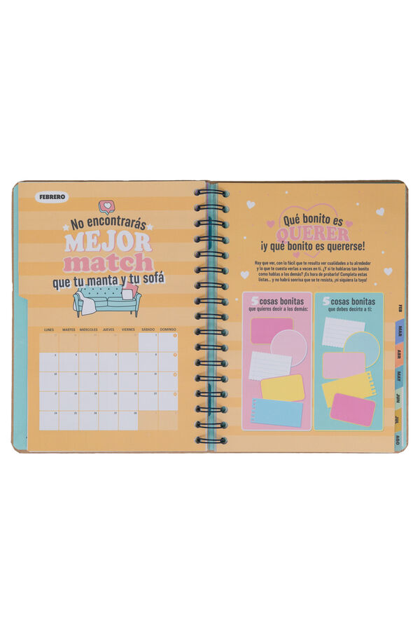 Mr. Wonderful Wonder Agenda 2024-2025 Weekly-Every week, with more enthusiasm printed