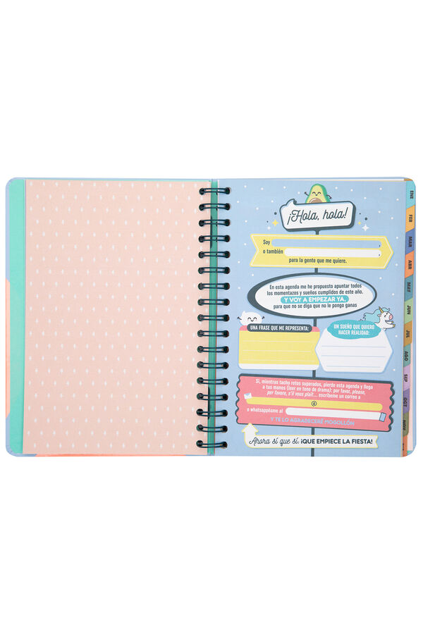 Mr. Wonderful Wonder Agenda 2025 Weekly - I'm going full speed ahead printed