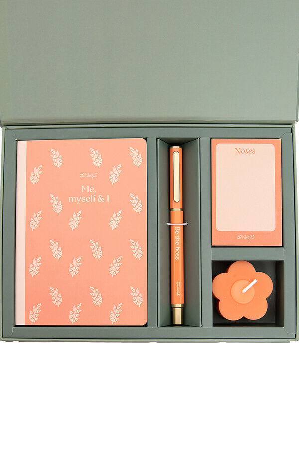 Mr. Wonderful Erasable pen - Dachshund printed