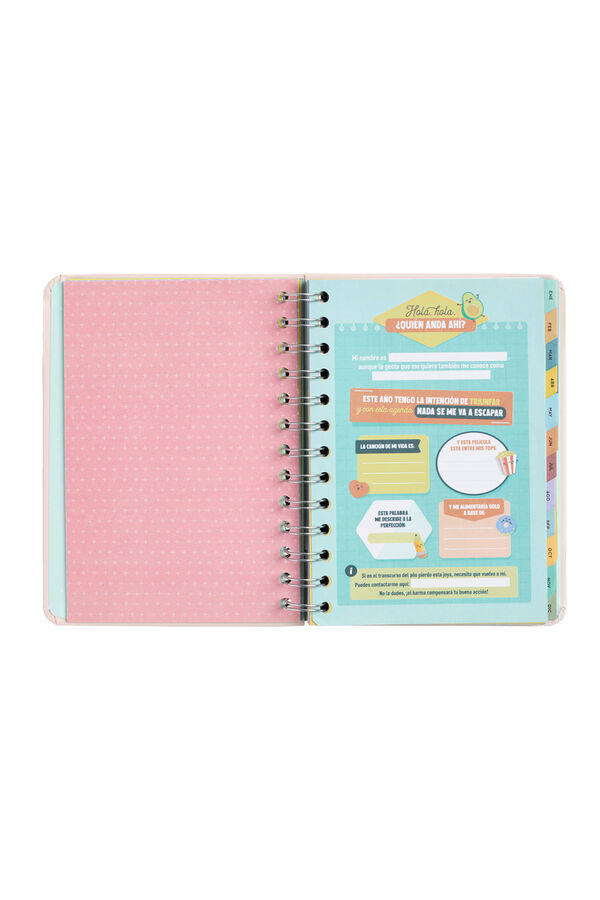 Mr. Wonderful Classic small 2023 diary printed