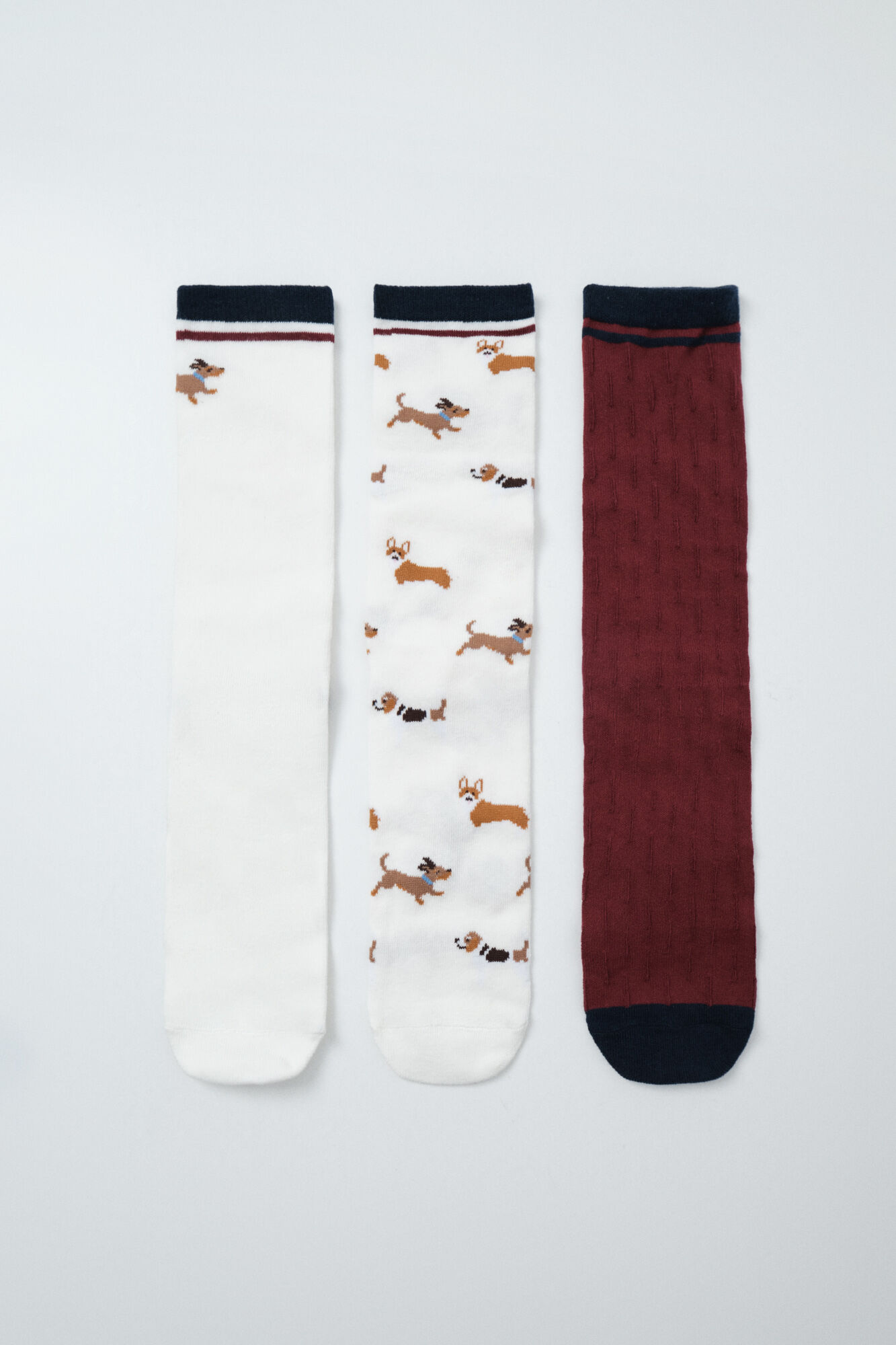 Women'secret Varied print 6-pack socks