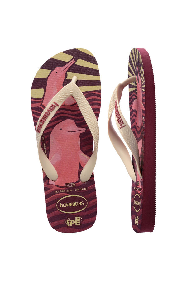 Havaianas Hav. sandals Garnet Ipe printed