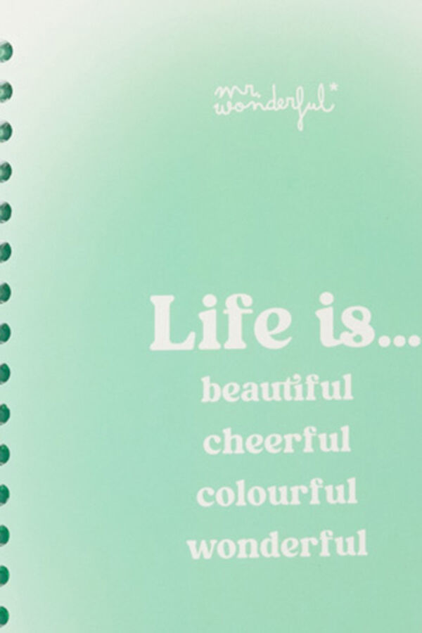 Mr. Wonderful A5 notebook Print