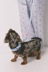 Women'secret Collier pour chien avec pendentif cerises bleu bleu