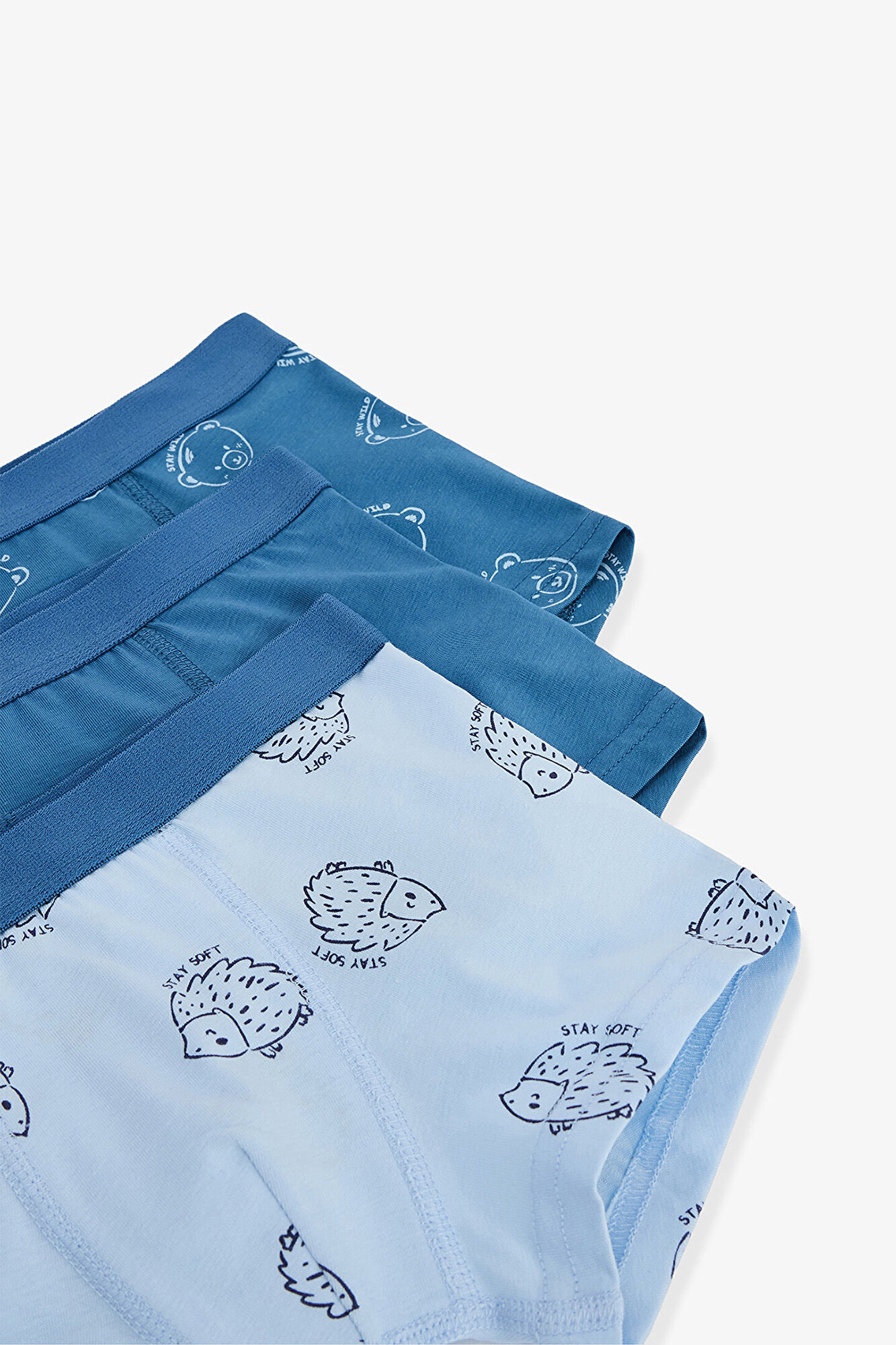 Penti 3 boxers de algod&oacute;n con estampado de erizos para ni&ntilde;o