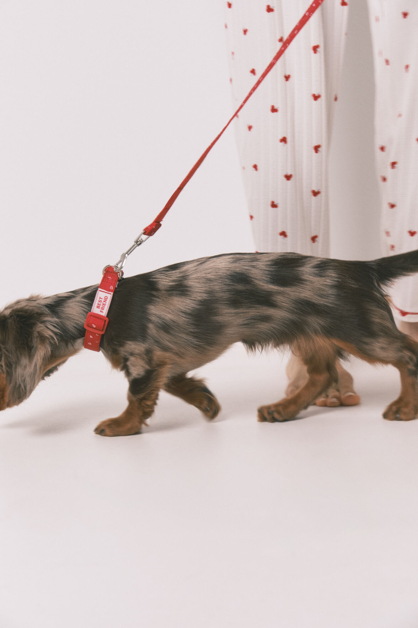 Women'secret Red heart print dog leash