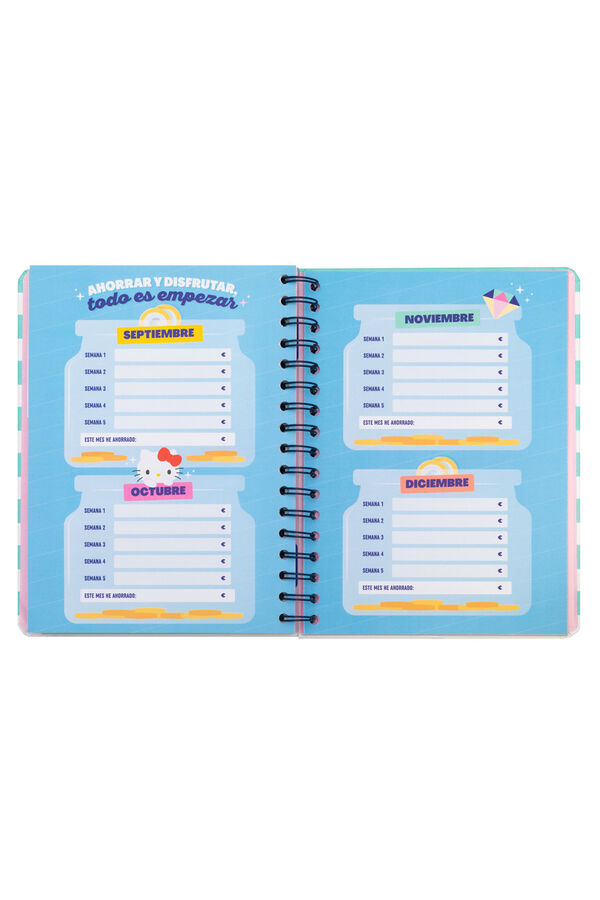 Mr. Wonderful Agenda 2024-25 Hello Kitty x Mr. wonderful-365 fantastic days imprim&eacute;