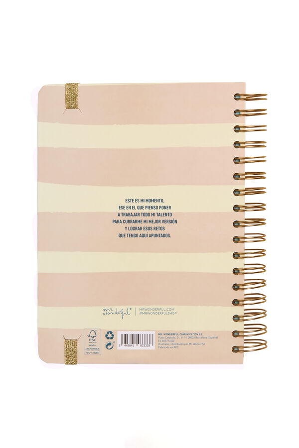 Mr. Wonderful Agenda Wonder 2023-2024 Diaria Rosa  printed