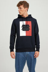 Womensecret Logo print sweatshirt with hood bleu