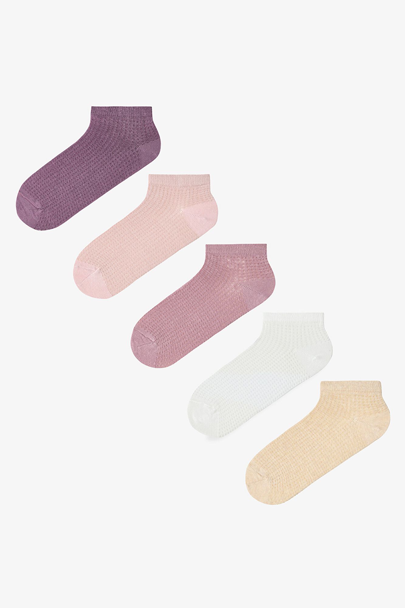 Penti Pack 5 calcetines tobilleros canal&eacute;