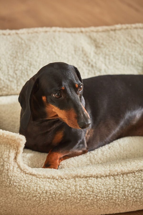 Calma House Cama para mascotas desenfundable cruda Henry estampado