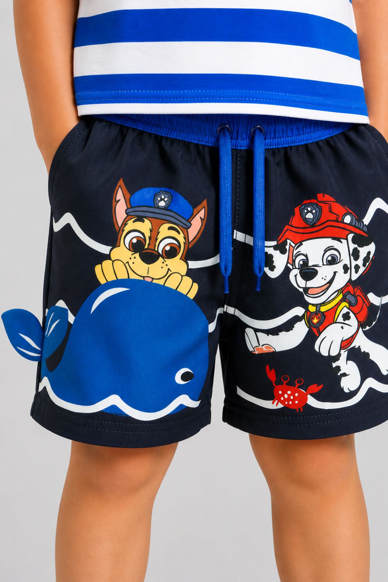 Name it Ba&ntilde;ador Patrulla Canina