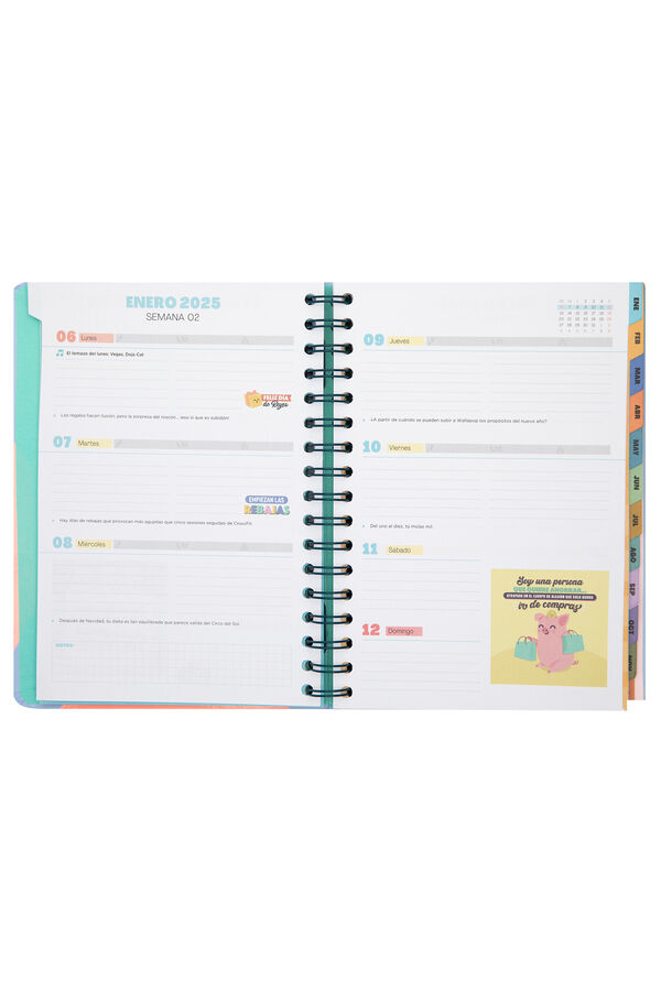 Mr. Wonderful Wonder Agenda 2025 Weekly - I'm going full speed ahead printed