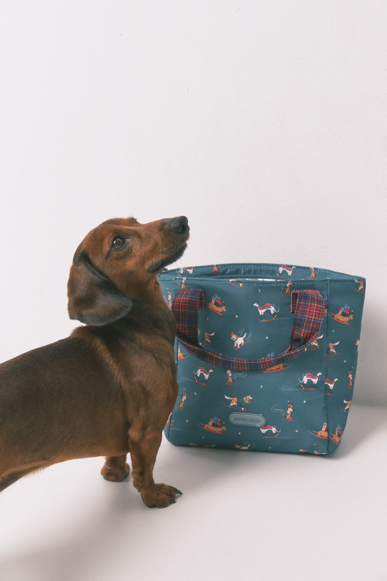 Women'secret Lunchbag with dog print