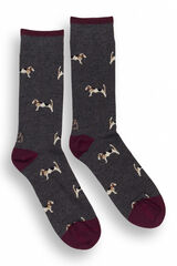 Kiff-Kiff Calcetines hombre gris gris