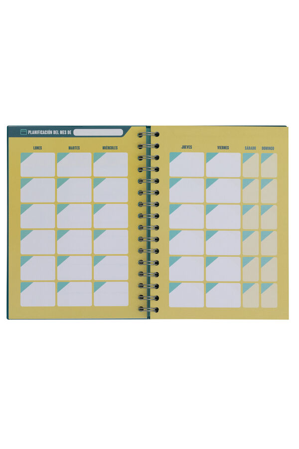 Mr. Wonderful Project planner-Profe 10, which is organised supertly Print