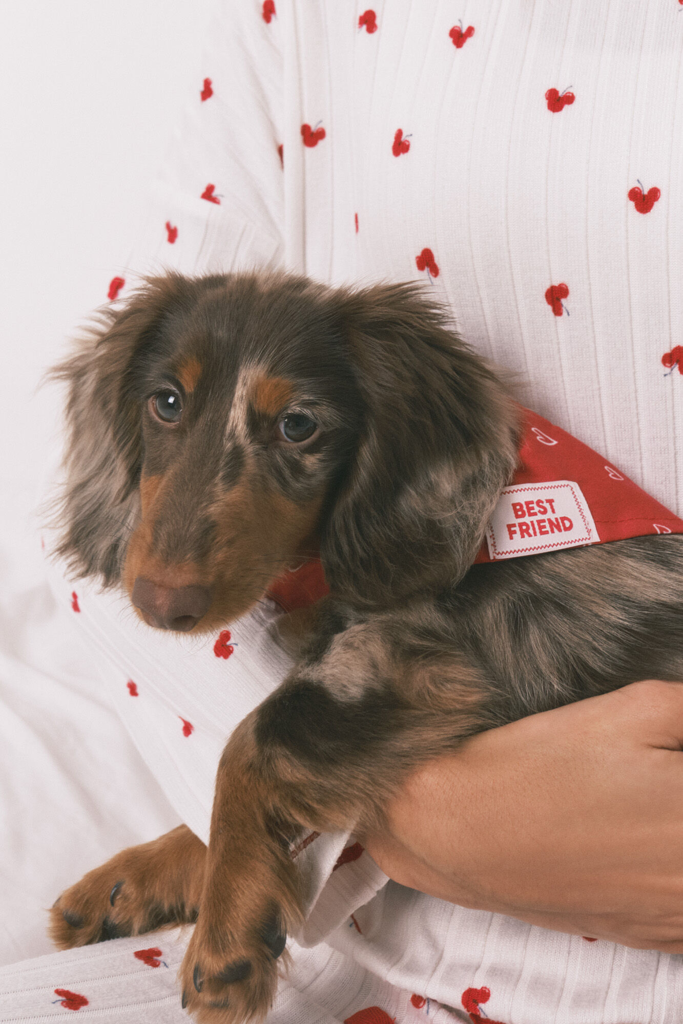 Women'secret Red heart print dog bandana