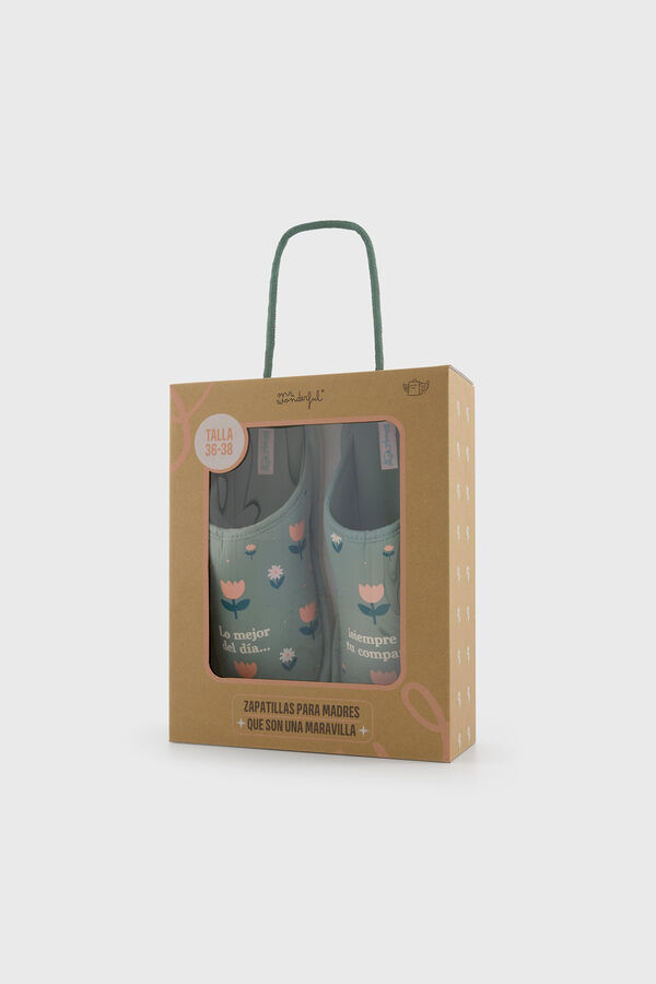 Mr. Wonderful Chinelos de quarto de mensagem estampado