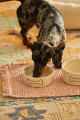 Calma House Plato para mascotas Sasha amarillo