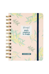 Mr. Wonderful Agenda Office peque&ntilde;a 2025 Semanal Empieza la magia estampado