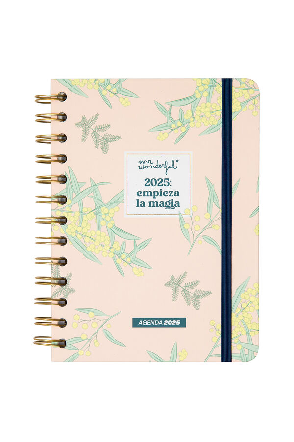 Mr. Wonderful Agenda Office peque&ntilde;a 2025 Semanal Empieza la magia estampado