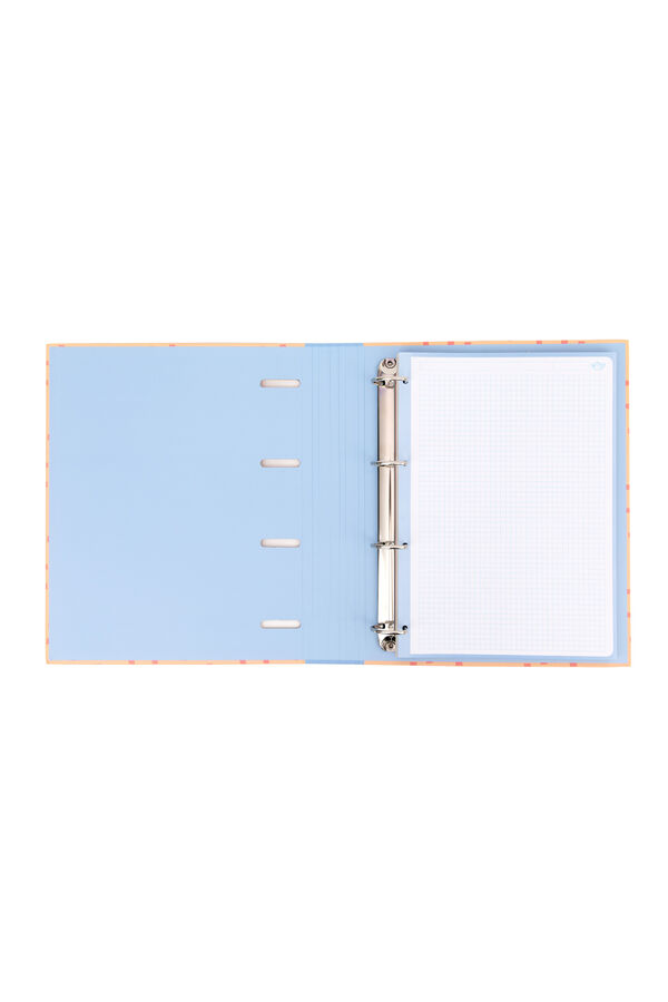 Mr. Wonderful Hedgehog ring binder and sheets - Ready to roll printed