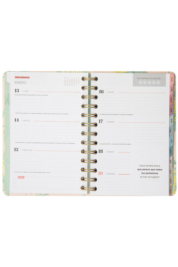 Mr. Wonderful Agenda Office peque&ntilde;a 2025 Semanal Empieza la magia estampado