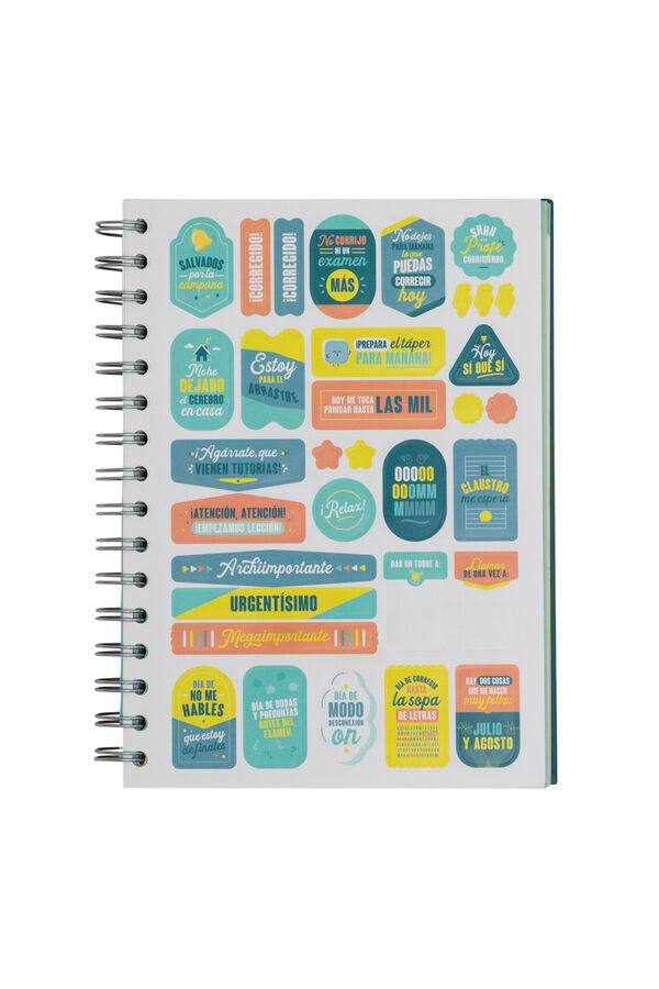 Mr. Wonderful Project planner-Profe 10, which is organised supertly Print